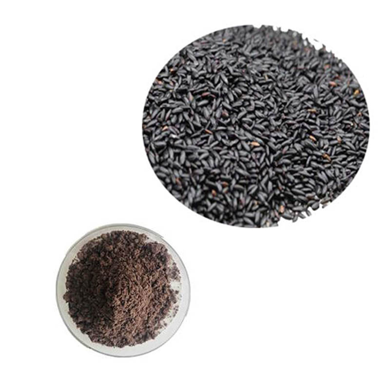 Black Rice Protein
