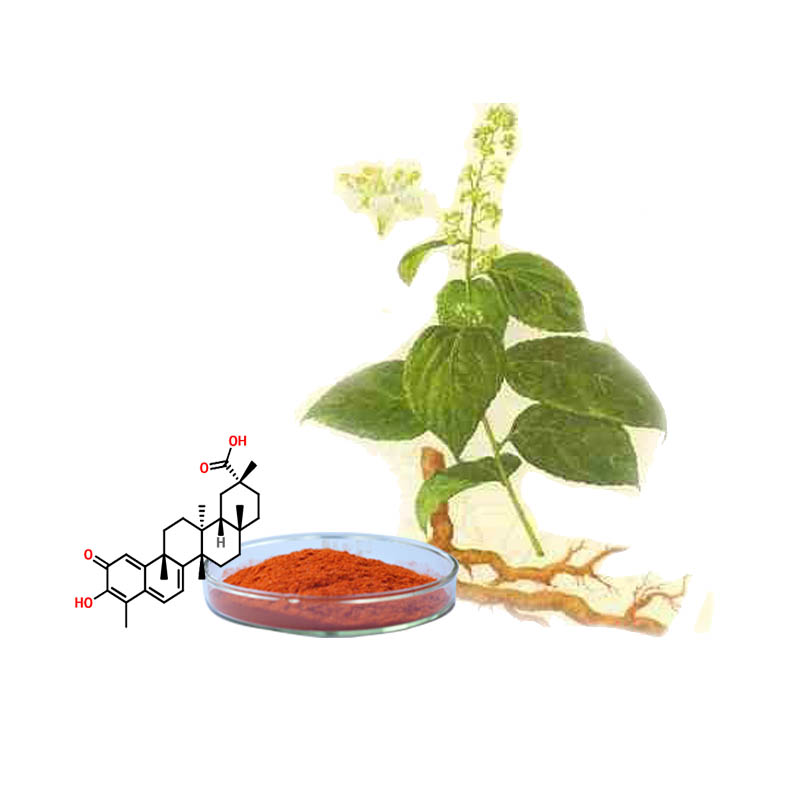 celastrol , triptolli