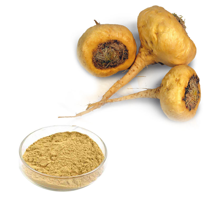 maca extract