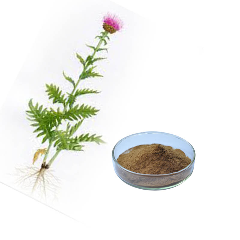 Rhaponticum carthamoi